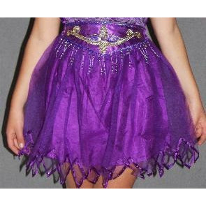 Beaded sequin design Skirt Fairy Tutu Adult Teenage  Purple tulle net costume