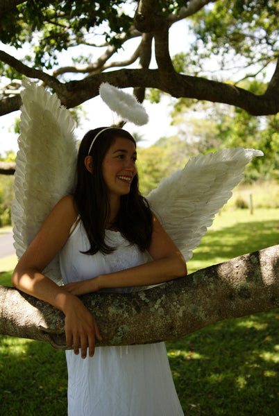 Angel Wings white
