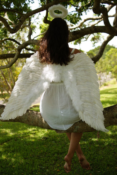 Angel Wings white