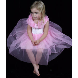 Pink Velvet Party Dress Tutu fairy flower Child opera gown dressup costume